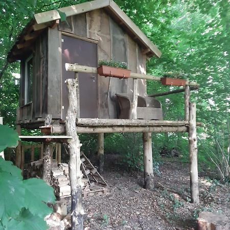 Baumhausnaechte Hotel Ladbergen Екстериор снимка